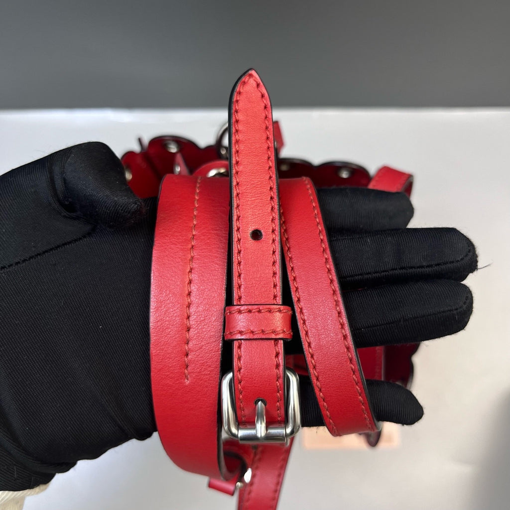 Miu Miu Red Bucket & Drawstring Bag