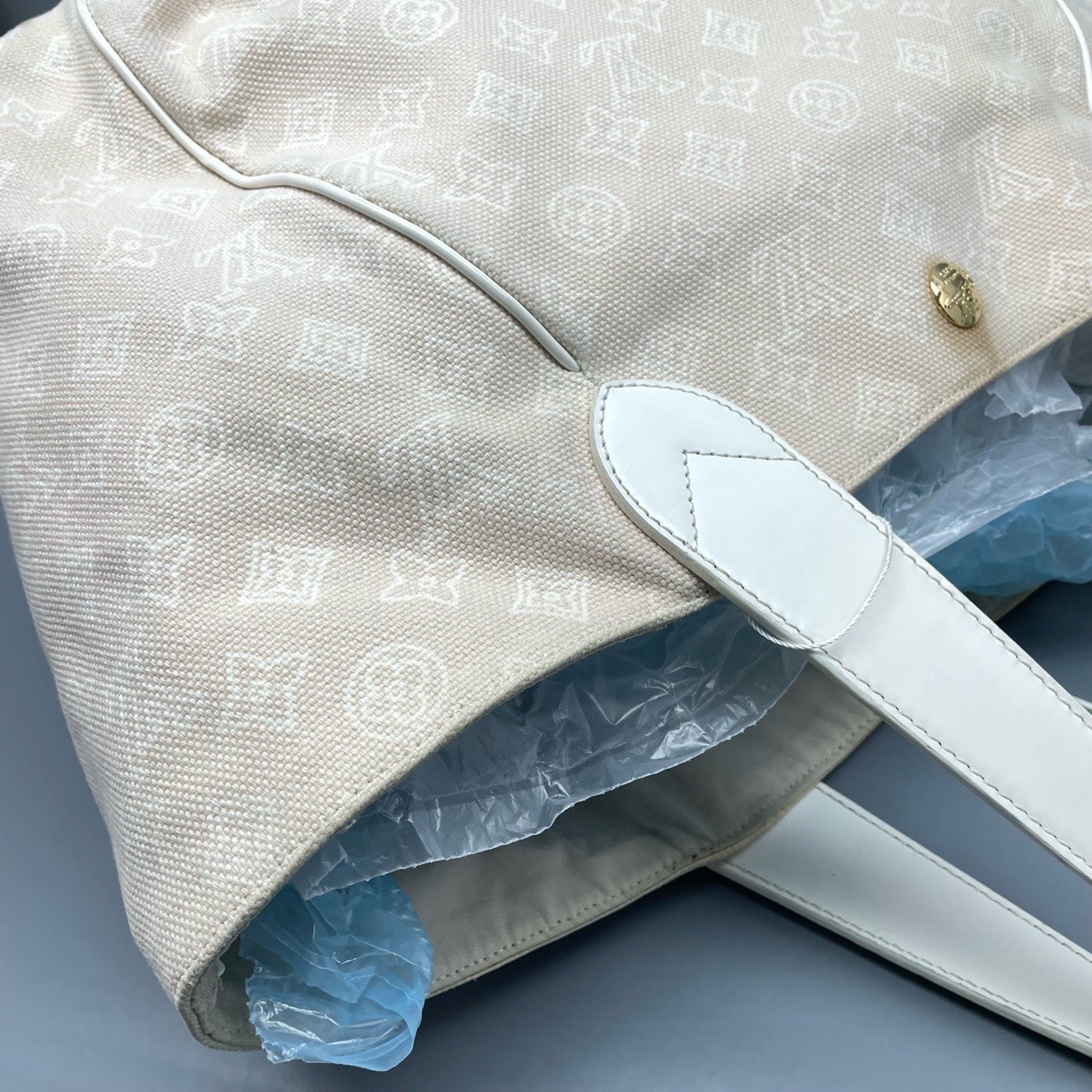 Louis Vuitton Canvas Tote