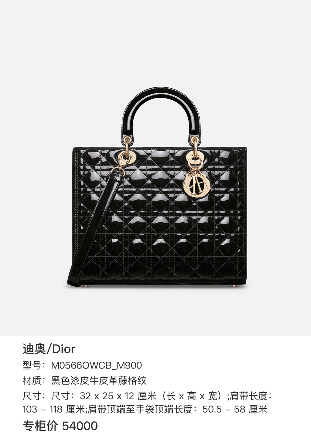 Dior Leather Black M0566OWCB_M900