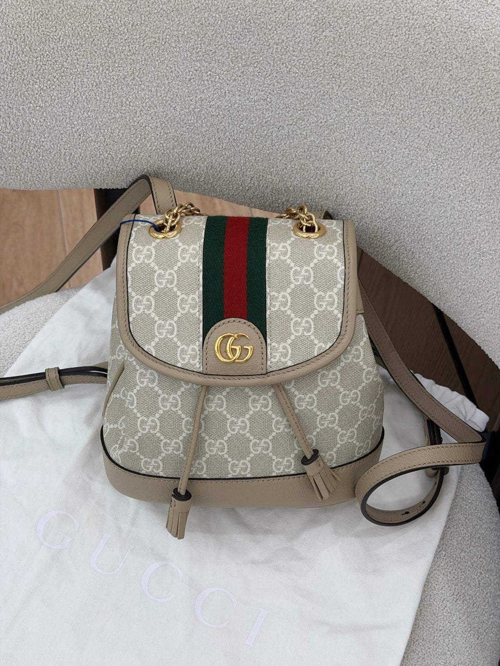 Gucci Backpack