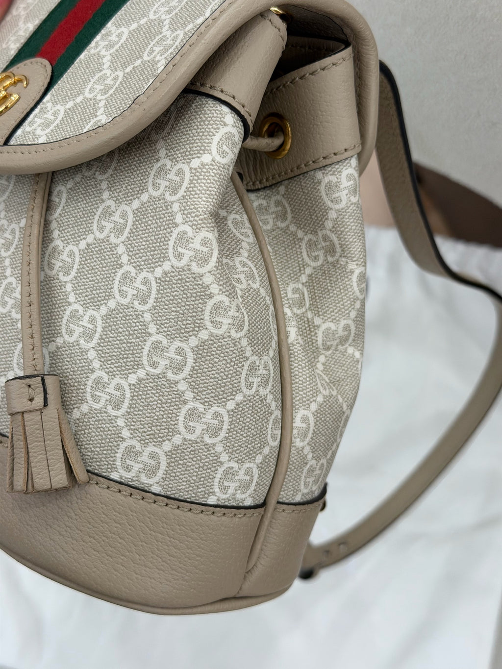Gucci Backpack