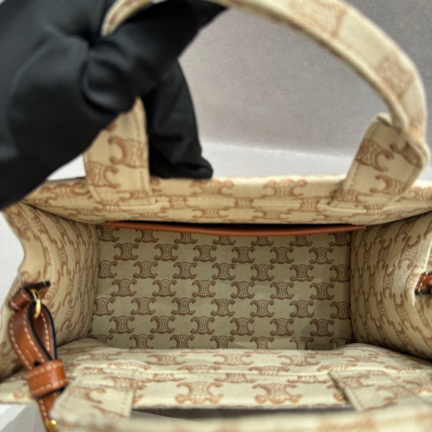 Celine Canvas Tote