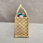 Celine Canvas Tote