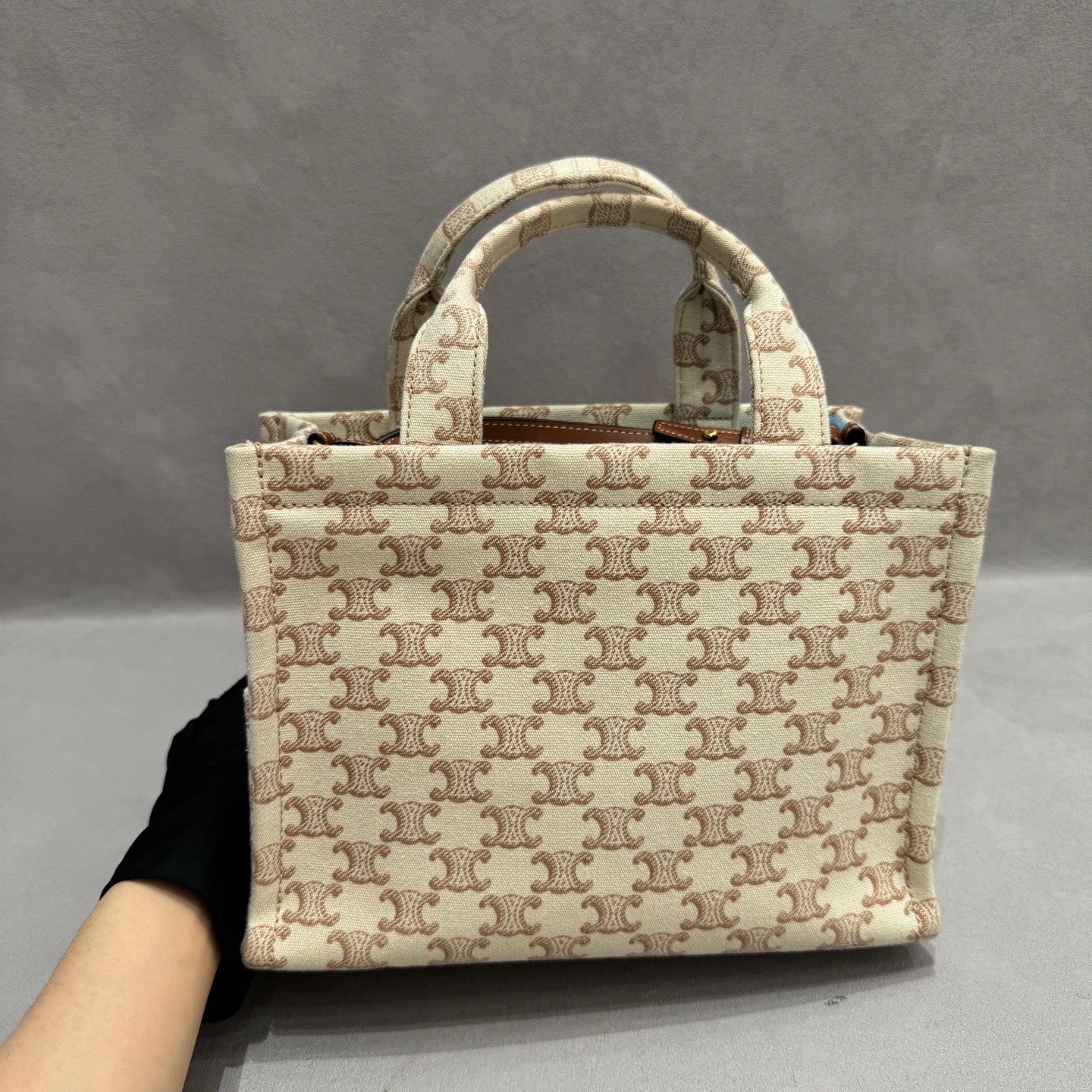 Celine Canvas Tote