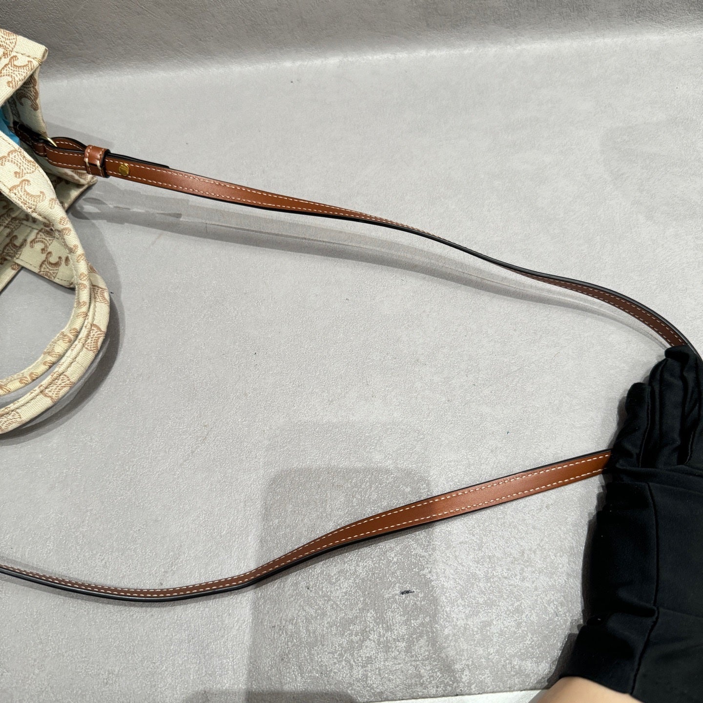 Celine Canvas Tote