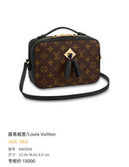 Louis Vuitton 22.0x 16.0x 8.0 cm M43555