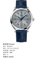 Omega Seahorse Series 41 220.13.41.21.06.001