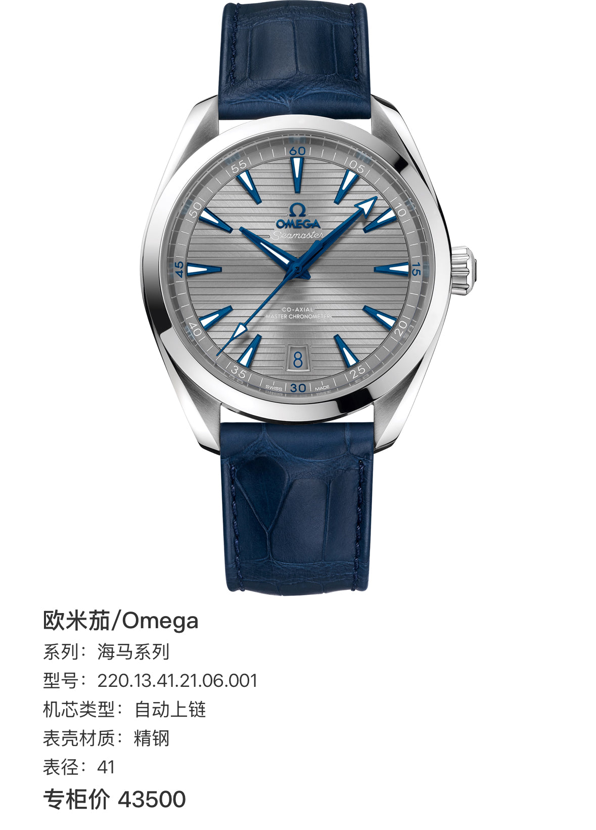 Omega Seahorse Series 41 220.13.41.21.06.001