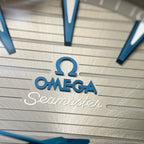 Omega Seahorse Series 41 220.13.41.21.06.001