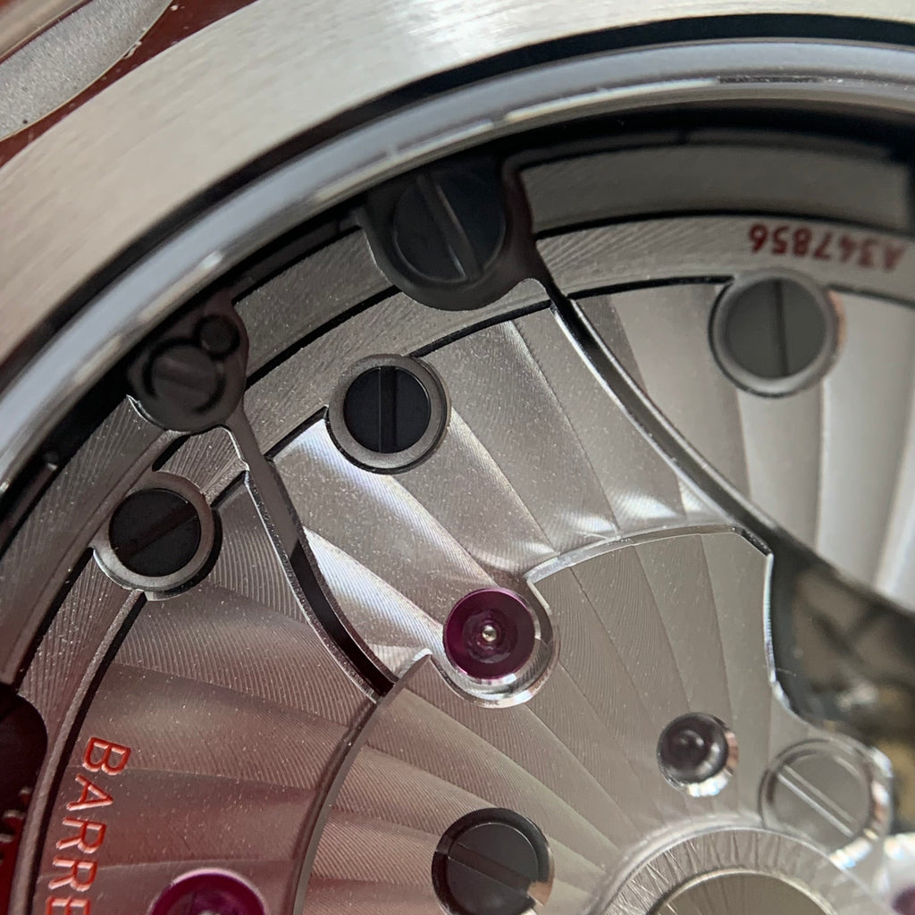 Omega Seahorse Series 41 220.13.41.21.06.001