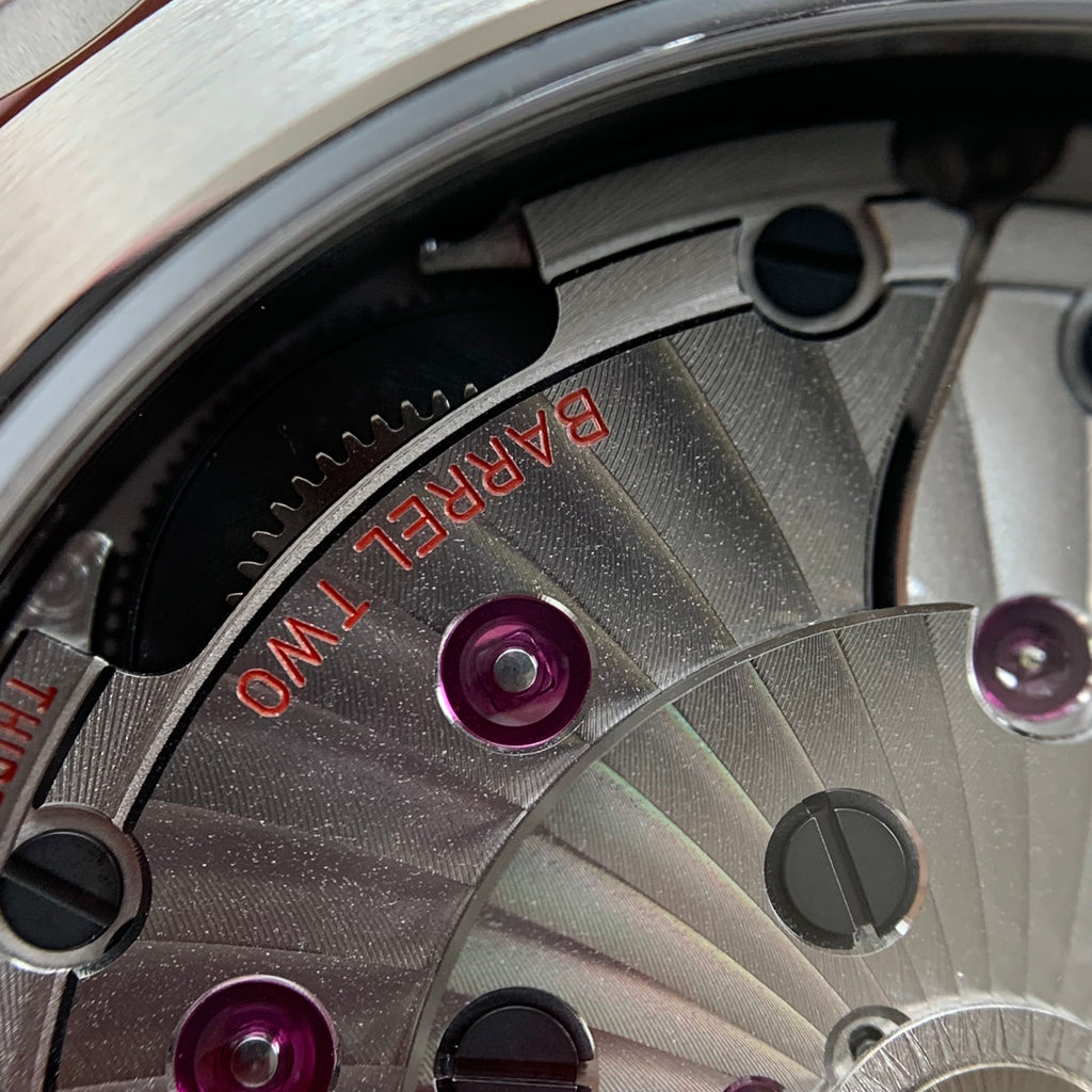 Omega Seahorse Series 41 220.13.41.21.06.001