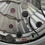 Omega Seahorse Series 41 220.13.41.21.06.001