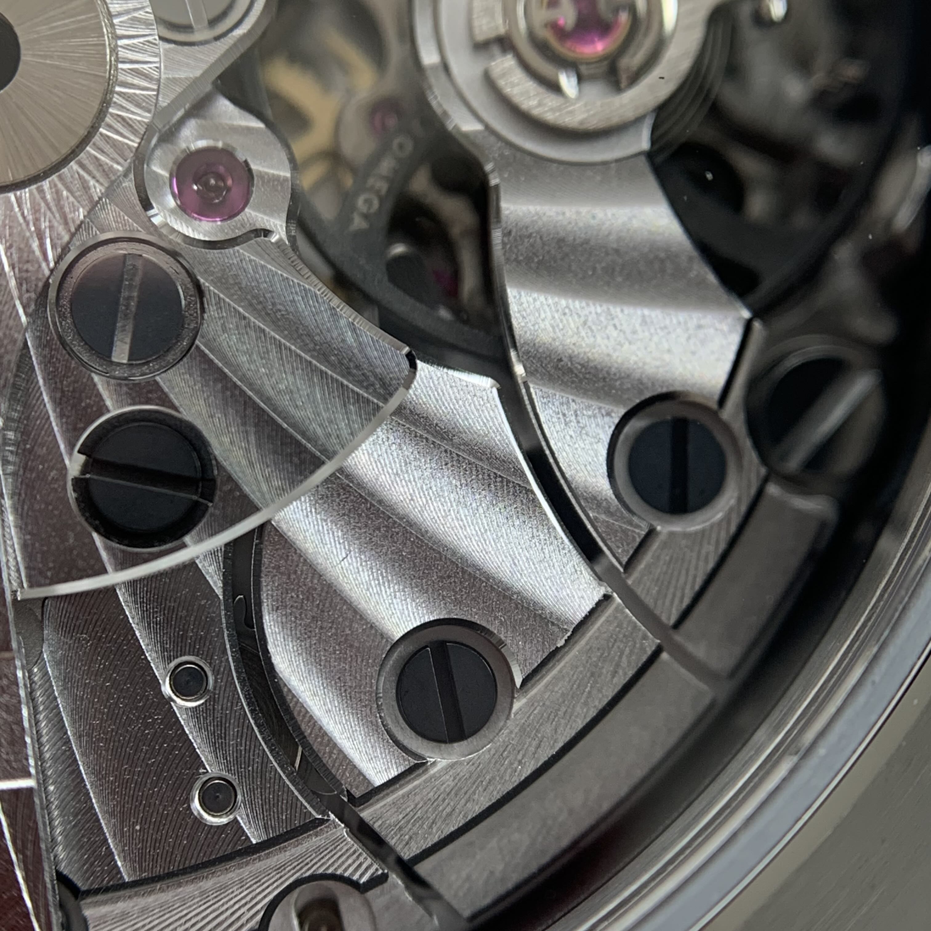 Omega Seahorse Series 41 220.13.41.21.06.001