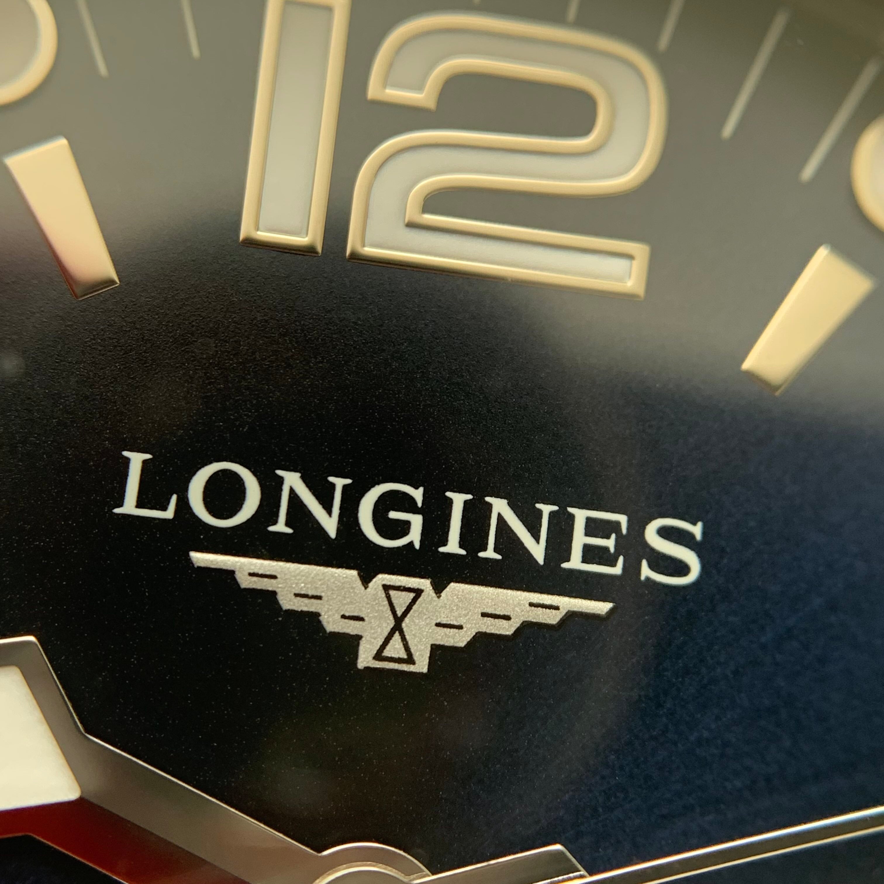 Longines Conquest Diving Series 44.00mm L3.841.4.96.6