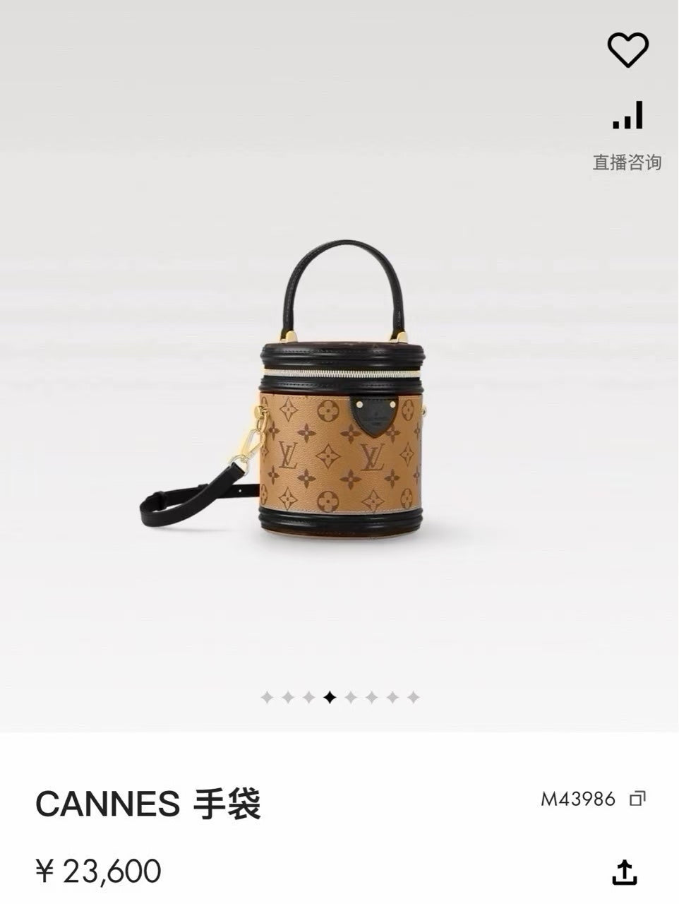 Louis Vuitton Bucket & Drawstring Bag