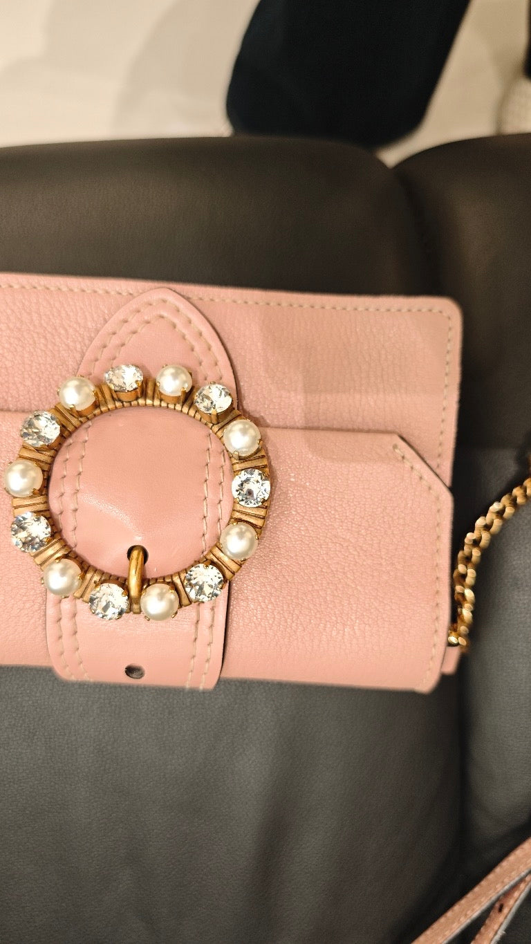 Miu Miu Pink Crossbody