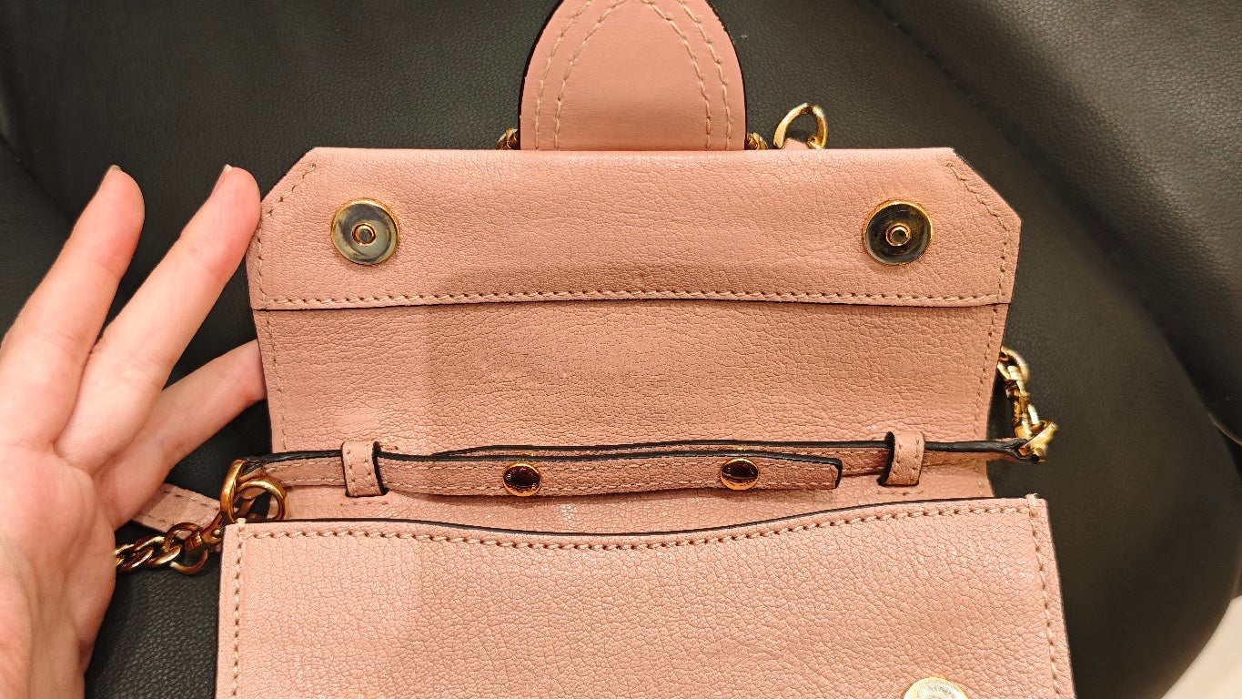 Miu Miu Pink Crossbody