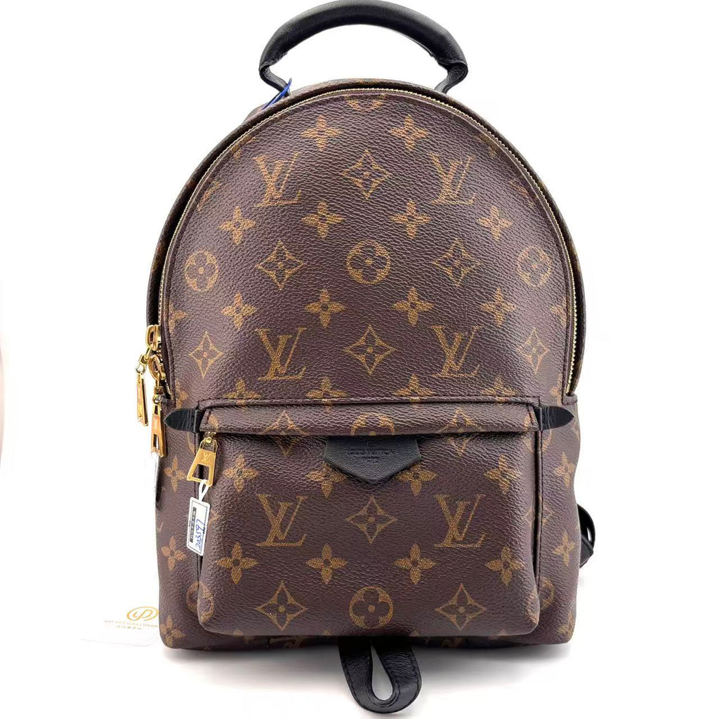 Louis Vuitton Backpack