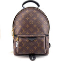 Louis Vuitton Backpack