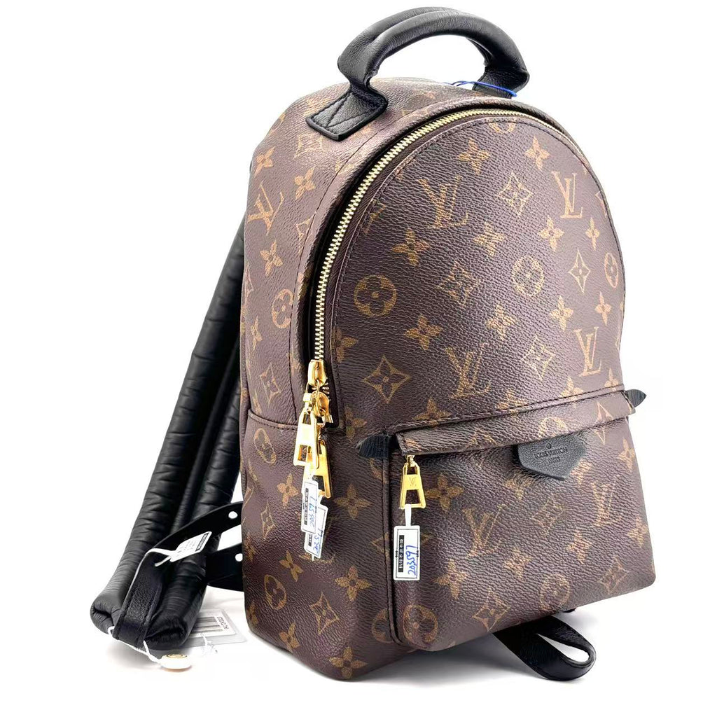 Louis Vuitton Backpack