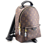 Louis Vuitton Backpack