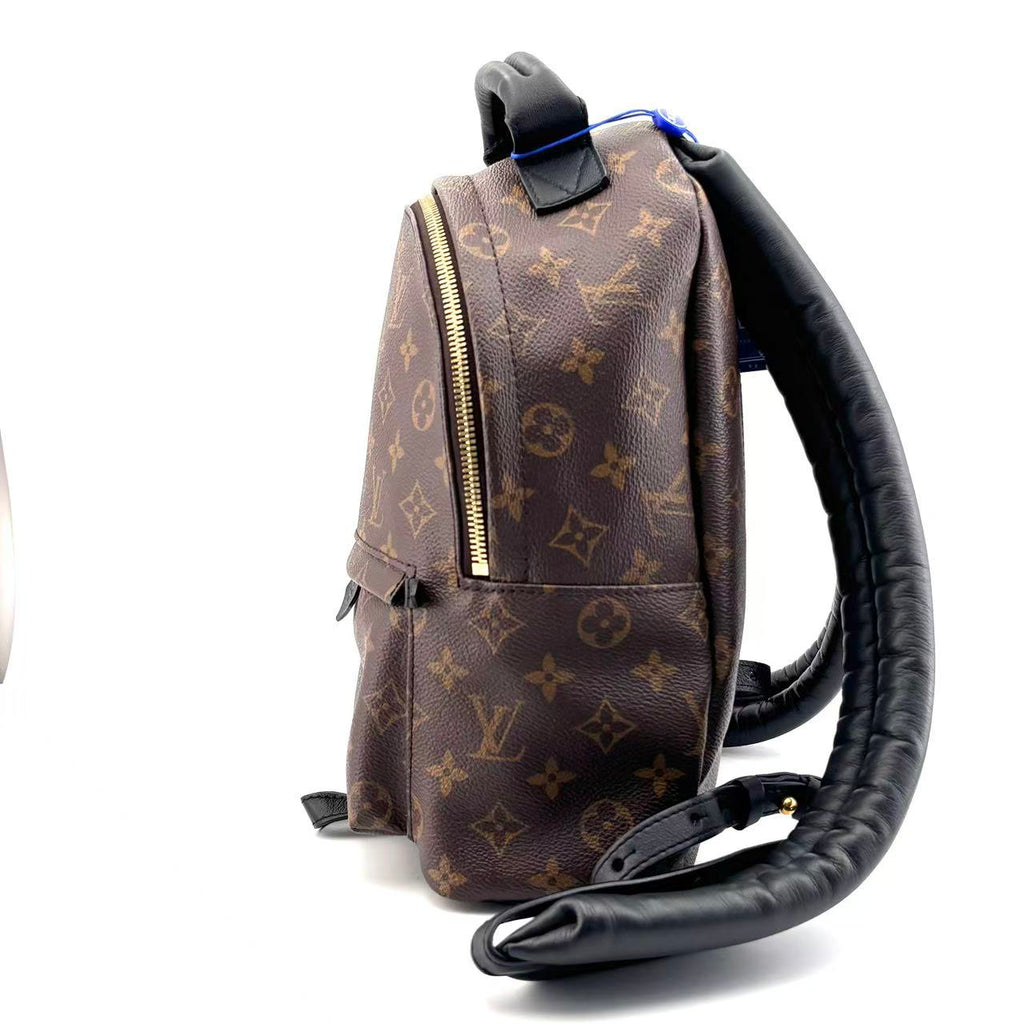 Louis Vuitton Backpack