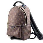 Louis Vuitton Backpack