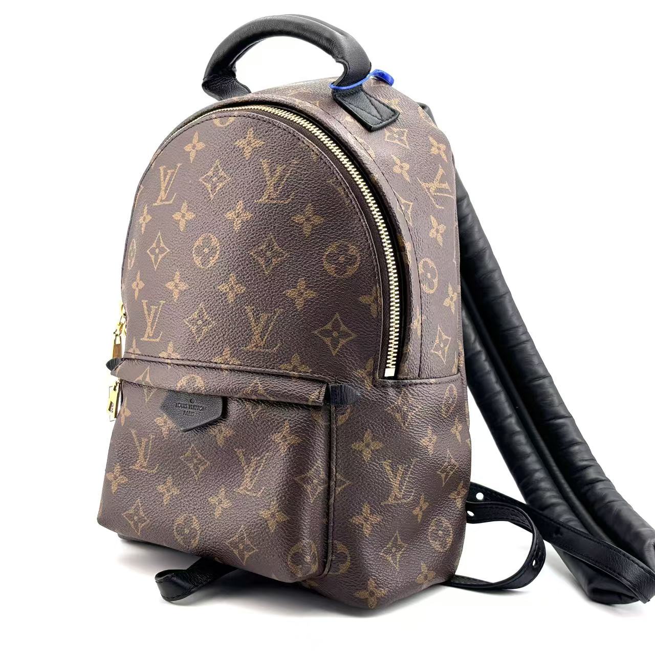 Louis Vuitton Backpack