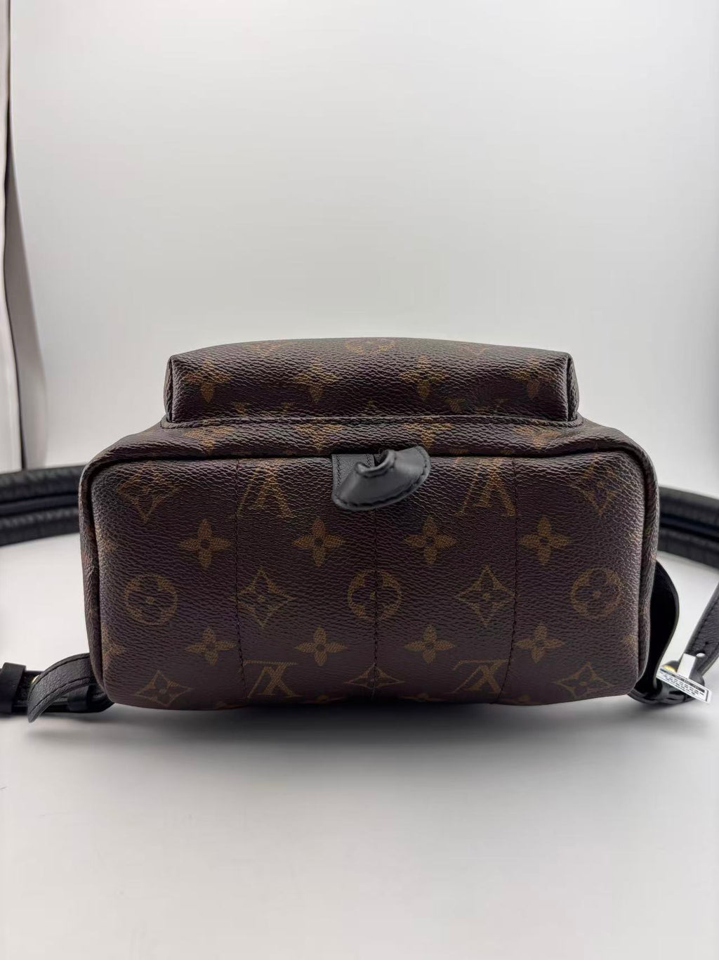 Louis Vuitton Backpack