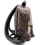 Louis Vuitton Backpack
