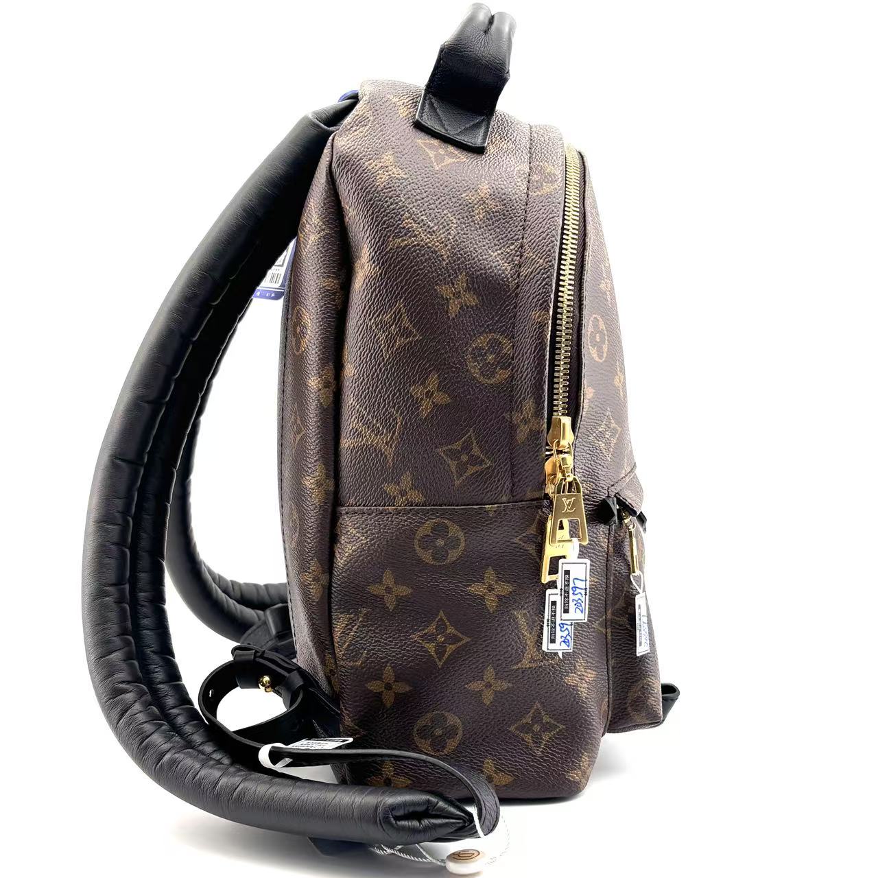 Louis Vuitton Backpack