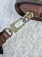 Louis Vuitton Clutch