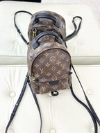 Louis Vuitton Brown Backpack M41562