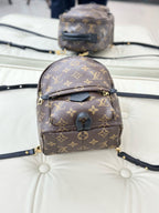 Louis Vuitton Brown Backpack M41562
