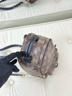 Louis Vuitton Brown Backpack M41562