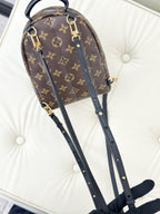 Louis Vuitton Brown Backpack M41562