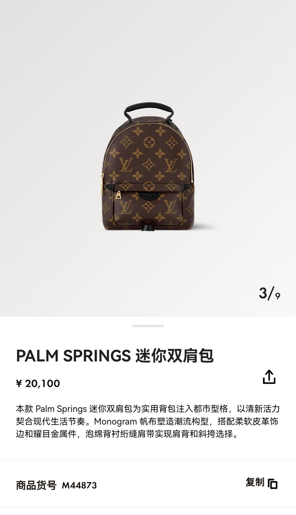 Louis Vuitton Brown Backpack M41562