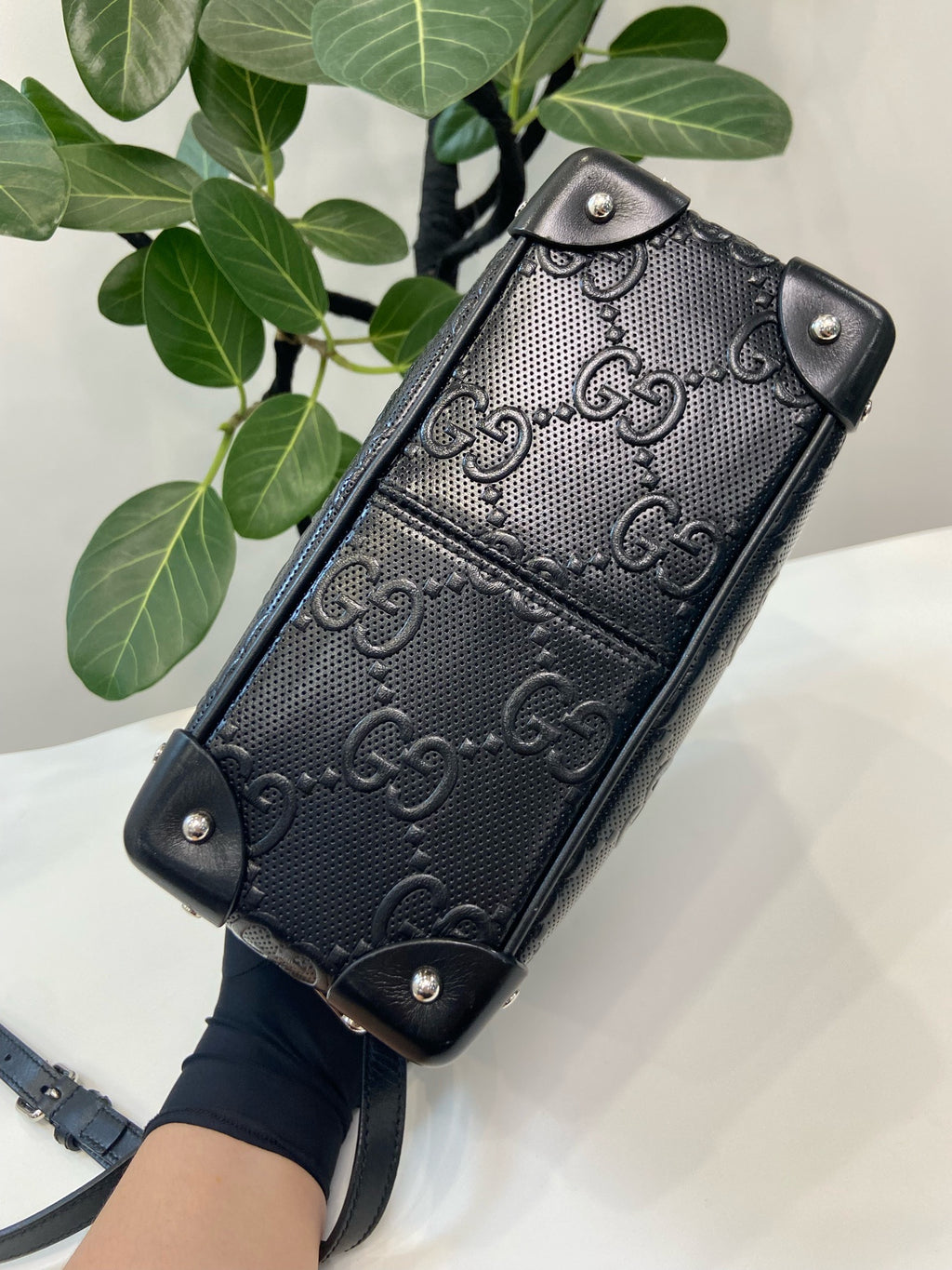 Gucci Black