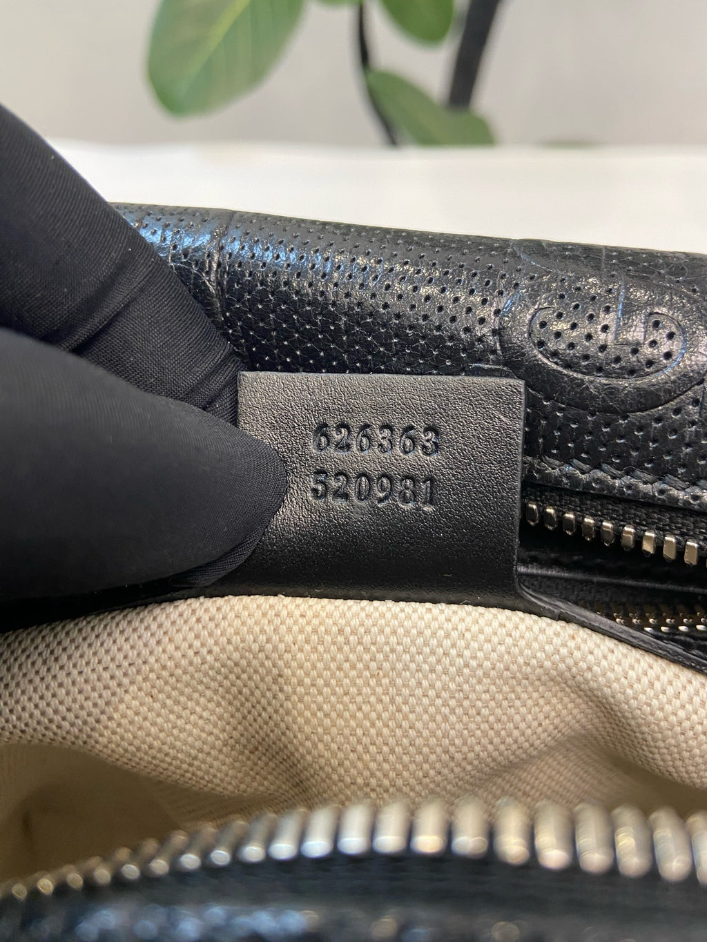 Gucci Black