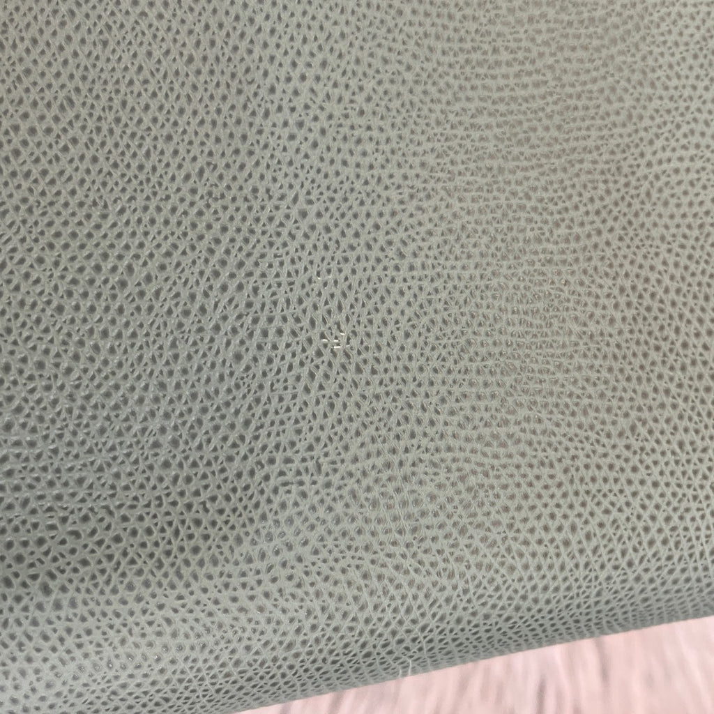 Celine Tote