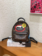 Louis Vuitton Backpack