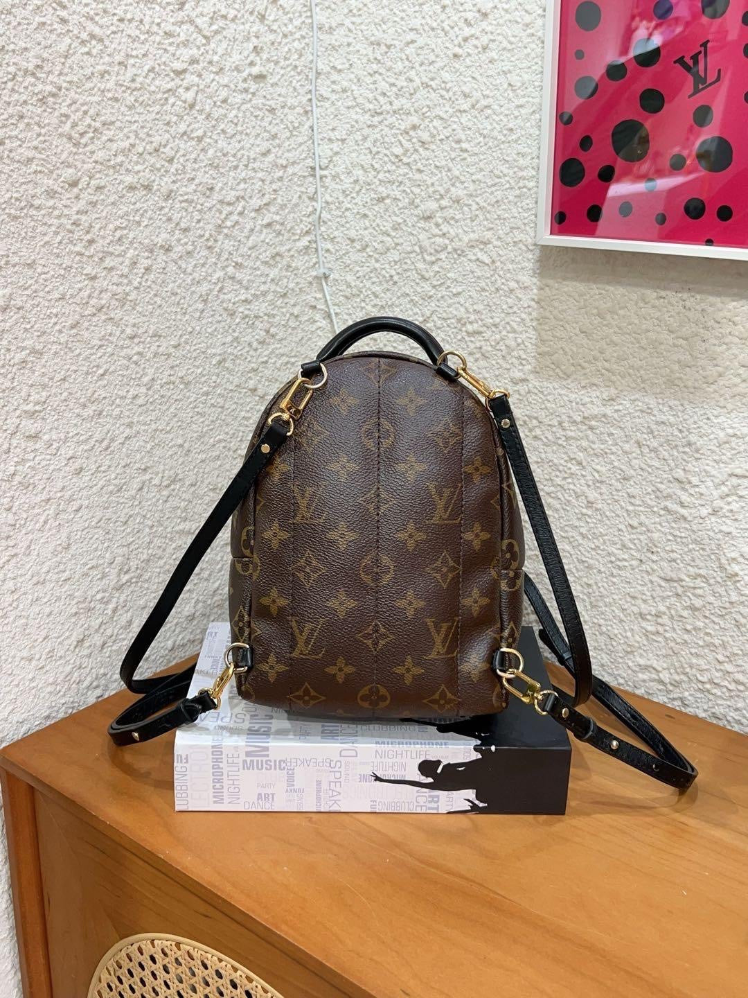 Louis Vuitton Backpack