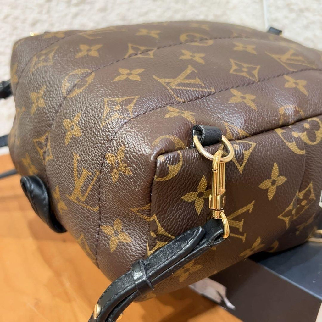 Louis Vuitton Backpack