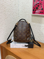Louis Vuitton Backpack
