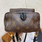 Louis Vuitton Backpack