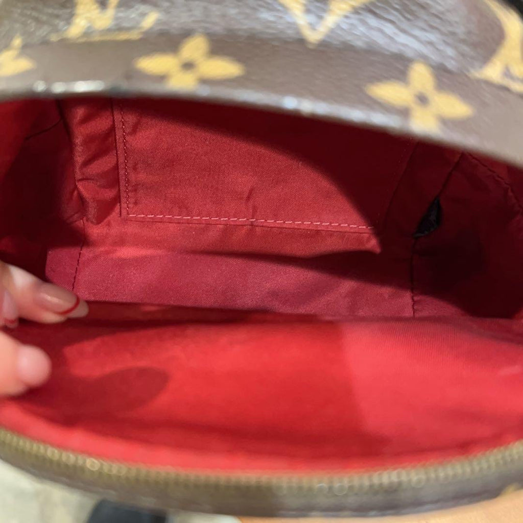Louis Vuitton Backpack