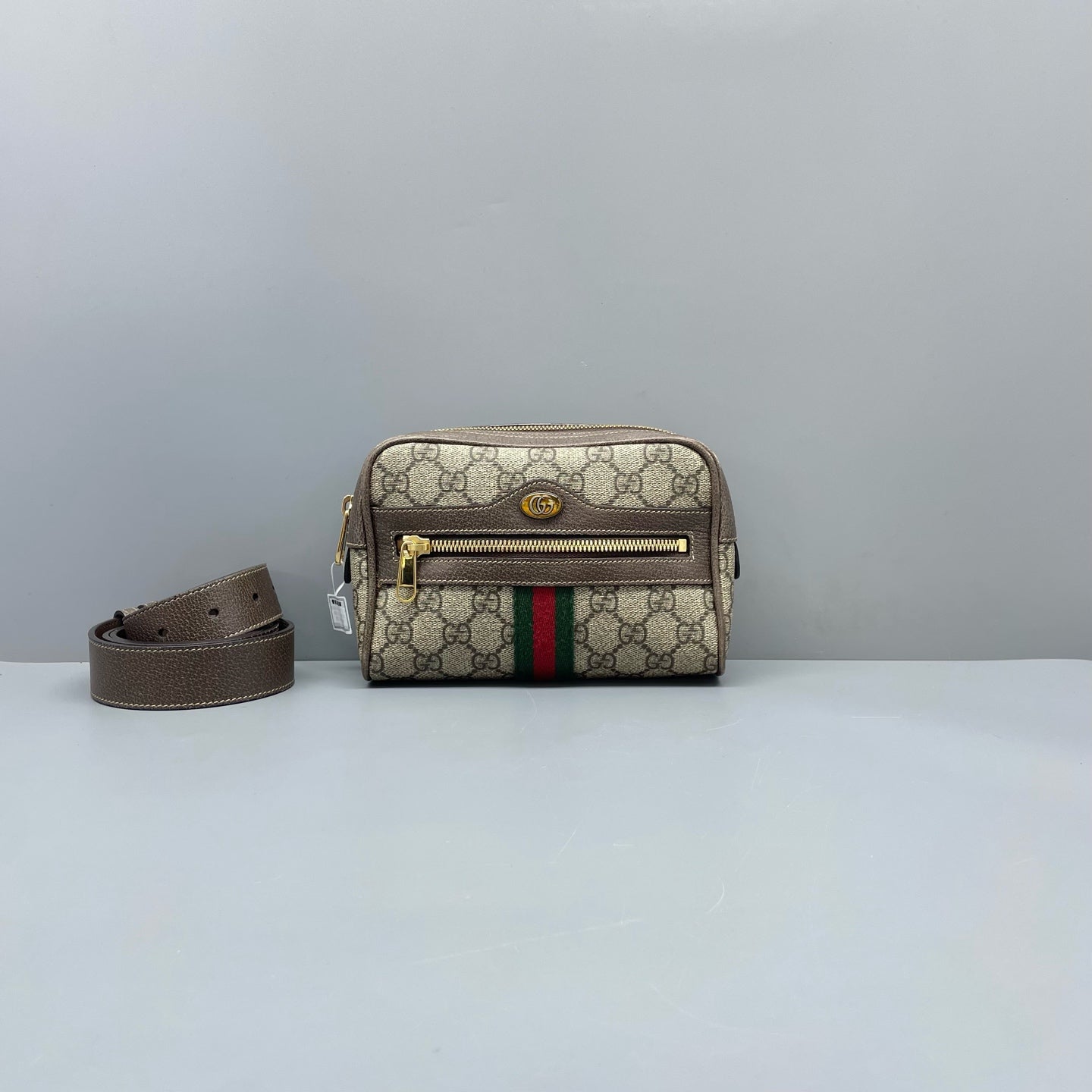Gucci Belt Bag & Fanny Pack