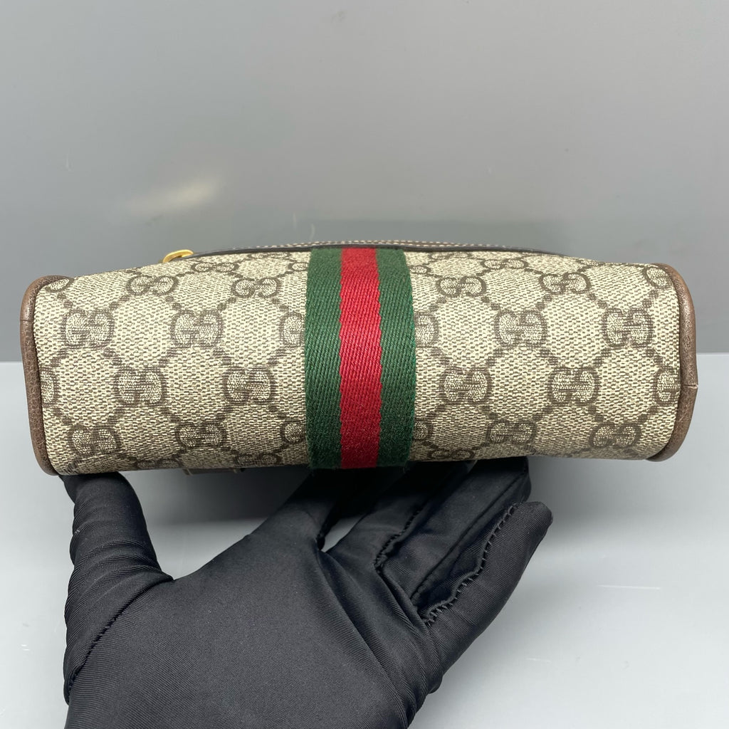 Gucci Belt Bag & Fanny Pack