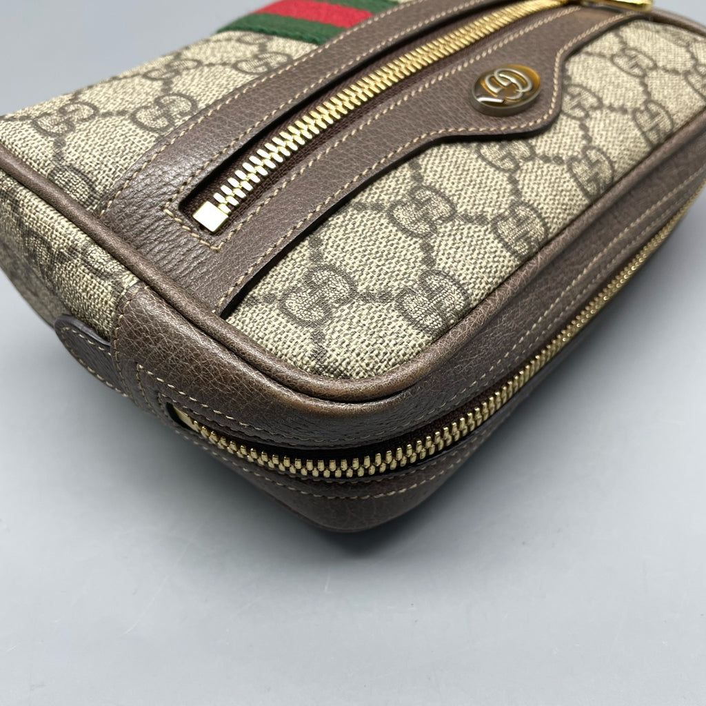 Gucci Belt Bag & Fanny Pack