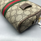 Gucci Belt Bag & Fanny Pack